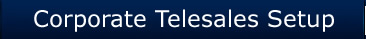 Corporate Telesales Setup